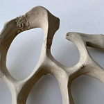 Блюдо «Бежевый коралл» варинант исполнения - 3 | Loft Concept в Костроме