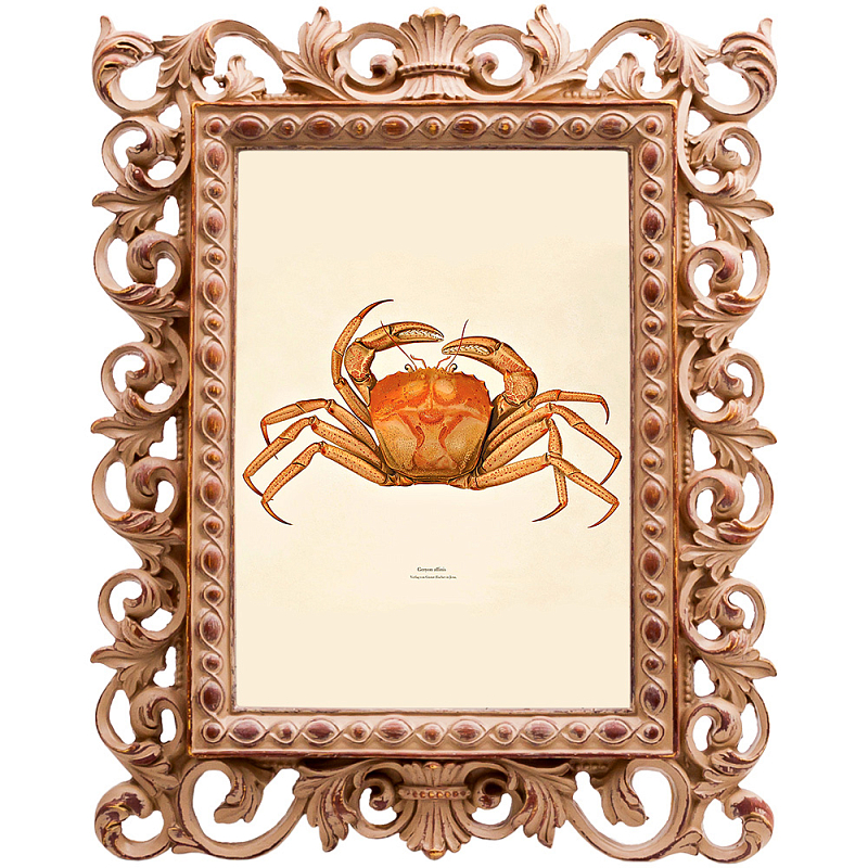 Постер Ocher Crab Poster Бежевый Оранжевый Постер Ocher Crab Poster Бежевый Оранжевый в Костроме | Loft Concept