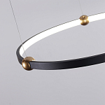 Люстра подвесная светодиодная черный металл Ring Horizontal варинант исполнения - 10 | Loft Concept в Костроме