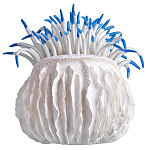 Статуэтка тропический фрукт Tropical Fruit White Blue варинант исполнения - 3 | Loft Concept в Костроме