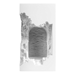 Встраиваемый в стену гипсовый светильник под покраску с эффектом разрушенной стены Antiquity Athena варинант исполнения - 2 | Loft Concept в Костроме