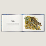 Лимитированная подарочная книга HERMES Fierce and Fragile book, English version варинант исполнения - 3 | Loft Concept в Костроме