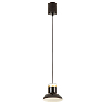 Подвесной светильник Celevis Black варинант исполнения - 2 | Loft Concept в Костроме