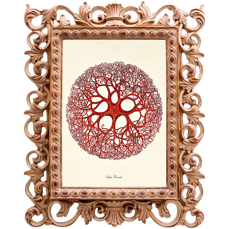 Постер Red Coral Poster 6 Бежевый Красный в Костроме | Loft Concept 