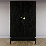 Платяной шкаф Elsa Dreams Black с 2-мя фасадами варинант исполнения - 4 | Loft Concept в Костроме