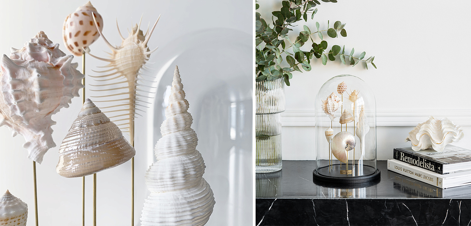 Статуэтка Shell Collection Glass Cloche 1 Статуэтка Shell Collection Glass Cloche 1 - Loft-Concept в Костроме