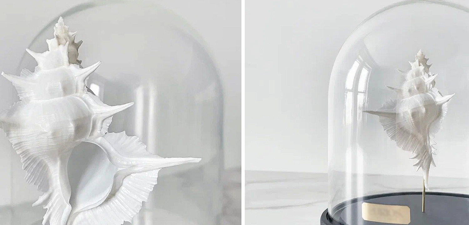 Статуэтка Murex Alabaster Glass Cloche Статуэтка Murex Alabaster Glass Cloche - Loft-Concept в Костроме