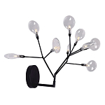 Бра в виде ветвей с прозрачными круглыми плафонами Moooi варинант исполнения - 2 | Loft Concept в Костроме