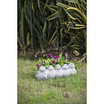 Кашпо Canaries варинант исполнения - 6 | Loft Concept в Костроме