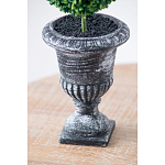 Декоративный искусственное растение Double boxwood варинант исполнения - 7 | Loft Concept в Костроме