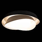 Потолочный светильник круглый черного цвета из металла Vita Cuna варинант исполнения - 1 | Loft Concept в Костроме