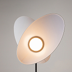 Напольный светильник Evolution 3000К 12Вт варинант исполнения - 5 | Loft Concept в Костроме