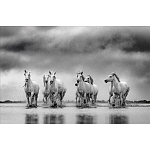 Книга Beusker. Look into my Eyes варинант исполнения - 4 | Loft Concept в Костроме