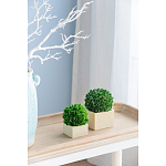 Декоративный искусственное растение Square boxwood варинант исполнения - 5 | Loft Concept в Костроме