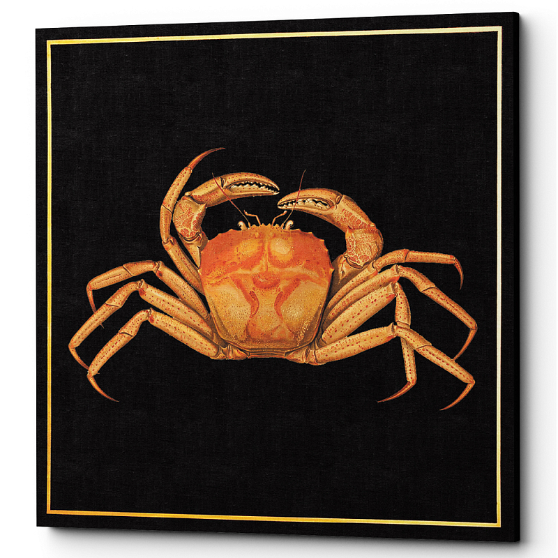 Постер Running Crab Poster Черный Оранжевый Постер Running Crab Poster Черный Оранжевый в Костроме | Loft Concept
