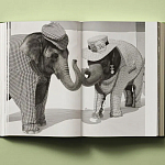 Книга в подарок творческий путь Брюса Вебера Bruce Weber. My Education варинант исполнения - 6 | Loft Concept в Костроме