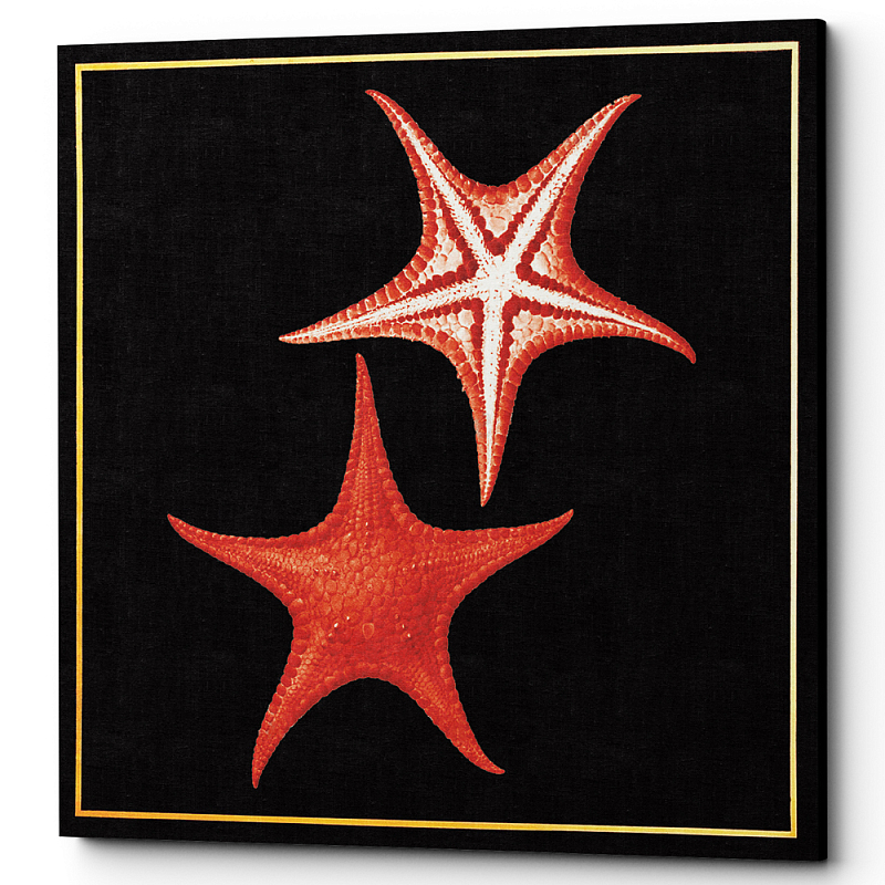 Постер Sea Stars Poster Черный Красный Постер Sea Stars Poster Черный Красный в Костроме | Loft Concept