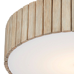 Потолочный светильник круглый светодиодный Contrasting Elements варинант исполнения - 1 | Loft Concept в Костроме