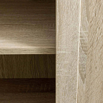 Шкаф Rebellious love варинант исполнения - 7 | Loft Concept в Костроме