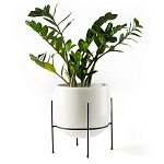 Кашпо из керамики Elevated Planters 32 варинант исполнения - 11 | Loft Concept в Костроме