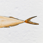 Плитка с узором Рыба Русалка варинант исполнения - 6 | Loft Concept в Костроме