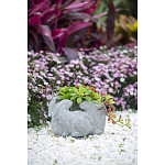 Кашпо A collection of baby rabbits варинант исполнения - 9 | Loft Concept в Костроме