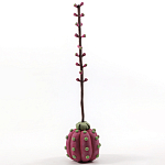 Статуэтка тропический фрукт Pandora Tropical Fruit Tall Pink Green варинант исполнения - 3 | Loft Concept в Костроме