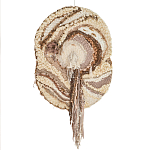 Овальный Современный Гобелен Абстракция в бежевых тонах Shallow варинант исполнения - 7 | Loft Concept в Костроме