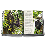 Подарочнный коллекционный фото альбом AFRICAN ADVENTURES NEW 2023 ASSOULINE HC UNBELIEVABLE ILLUSTRATIONS Safari варинант исполнения - 8 | Loft Concept в Костроме