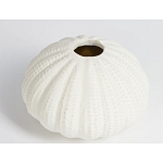 Подсвечник круглый белого цвета SeaFlowers варинант исполнения - 2 | Loft Concept в Костроме