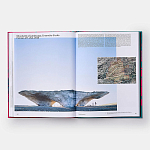 Radical Architecture of the Future варинант исполнения - 4 | Loft Concept в Костроме