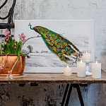 Постер на холсте с изображением павлина на ветке Majestic Peacock on a Tree Poster варинант исполнения - 2 | Loft Concept в Костроме