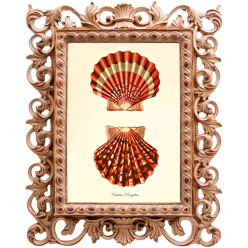 Постер Red Scallop Poster Бежевый Красный в Костроме | Loft Concept 