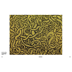 Редкое подарочное издание Yayoi Kusama: 1945 to Now варинант исполнения - 7 | Loft Concept в Костроме