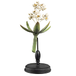 Статуэтка Wonderboom варинант исполнения - 1 | Loft Concept в Костроме