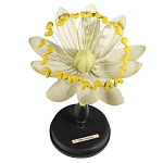 Статуэтка Tilia варинант исполнения - 1 | Loft Concept в Костроме