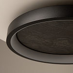 Потолочный светильник Orign 3000К варинант исполнения - 5 | Loft Concept в Костроме