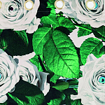 Штора Seletti Roses варинант исполнения - 1 | Loft Concept в Костроме