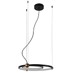 Люстра подвесная светодиодная черный металл Ring Horizontal варинант исполнения - 2 | Loft Concept в Костроме
