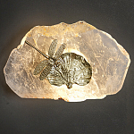 Бра Декоративный лист с стрекозой Glacial Fragment варинант исполнения - 2 | Loft Concept в Костроме