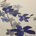 Обои ручная роспись Cherry Tree Original colourway on Stone Ochre dyed silk варинант исполнения - 3 | Loft Concept в Костроме