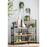 Кашпо Curly baby варинант исполнения - 4 | Loft Concept в Костроме