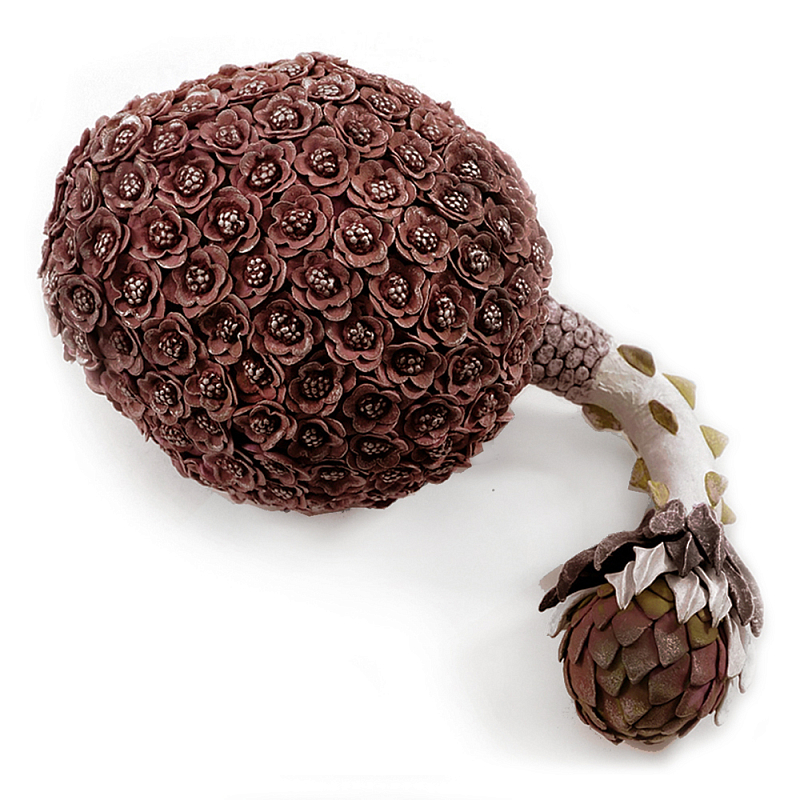 Коричневый фрукт Exotic Fruit Artichoke Brown 42 Коричневый Коричневый фрукт Exotic Fruit Artichoke Brown 42 Коричневый в Костроме | Loft Concept