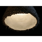 Светильник Acus варинант исполнения - 3 | Loft Concept в Костроме