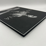 Коллекционная редкая книга Madonna: Nudes + by Martin H.M. Schreiber 2017 Букинистика варинант исполнения - 4 | Loft Concept в Костроме