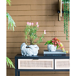 Кашпо A collection of baby rabbits варинант исполнения - 5 | Loft Concept в Костроме