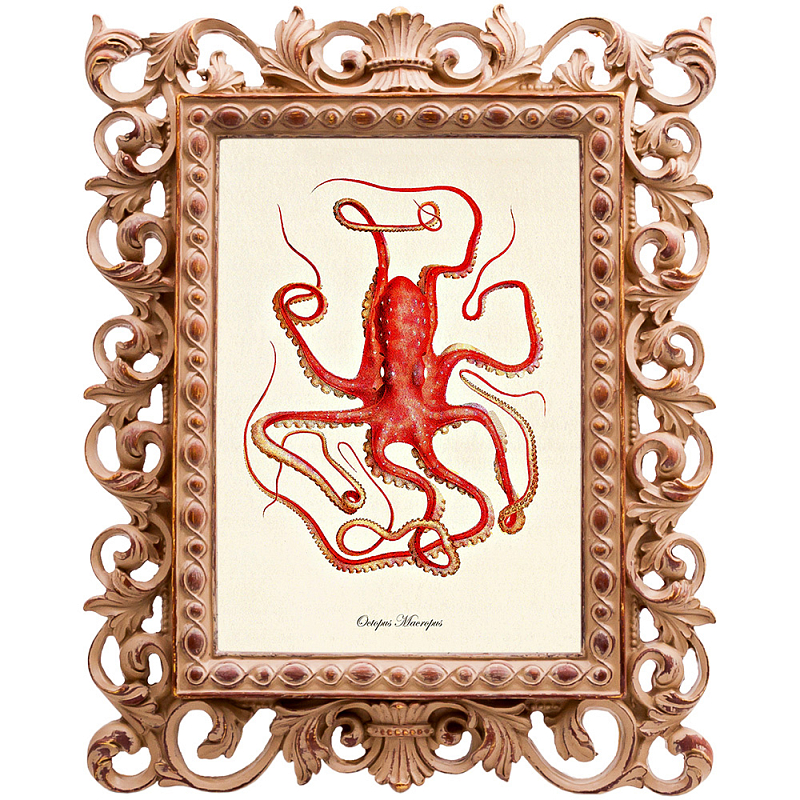 Постер Red Squid Poster Бежевый Красный Постер Red Squid Poster Бежевый Красный в Костроме | Loft Concept