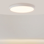 Потолочный светильник Incognito 2700-4000К 46Вт варинант исполнения - 2 | Loft Concept в Костроме