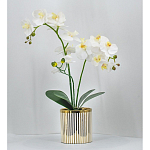 Декоративный искусственное растение Lush Orchid варинант исполнения - 2 | Loft Concept в Костроме