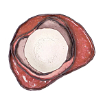 Сет из 4-х тарелок «QARTZITE» варинант исполнения - 5 | Loft Concept в Костроме